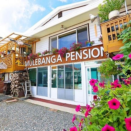 Osakae Anteo Mulraebang-A Pension Yangyang Exterior foto